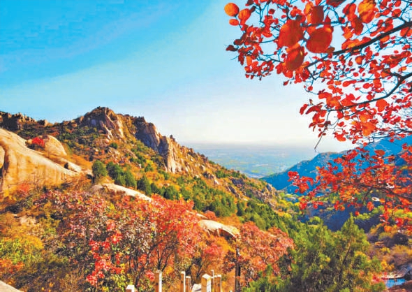 八山八“海”邀您盡賞“多彩京秋” 八山八“海”邀您盡賞“多彩京秋”
