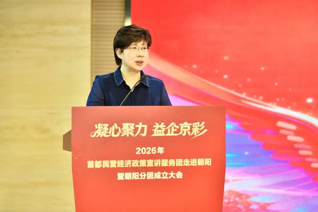 朝陽分團成立！首都民營經濟迎來這波“真金白銀”的支援