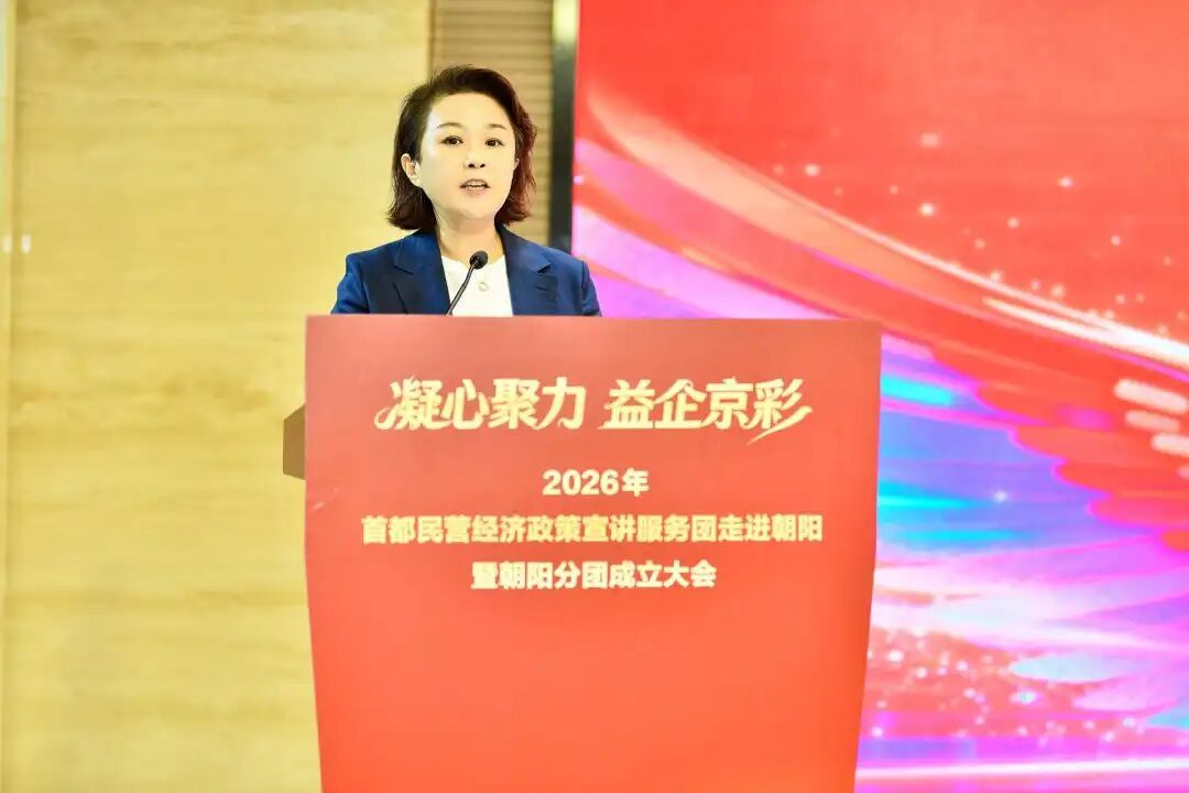 朝陽分團成立！首都民營經濟迎來這波“真金白銀”的支援
