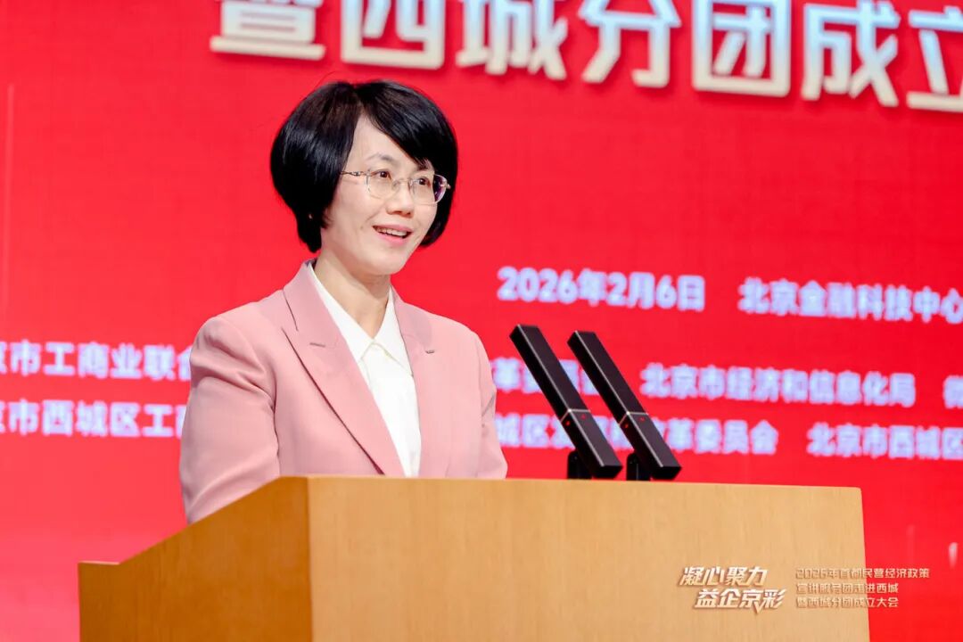 西城區委常委、統戰部部長江嵐