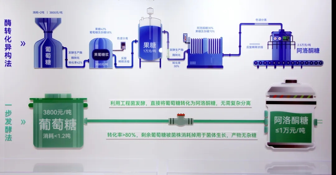 阿洛酮糖兩種不同的製備過程
