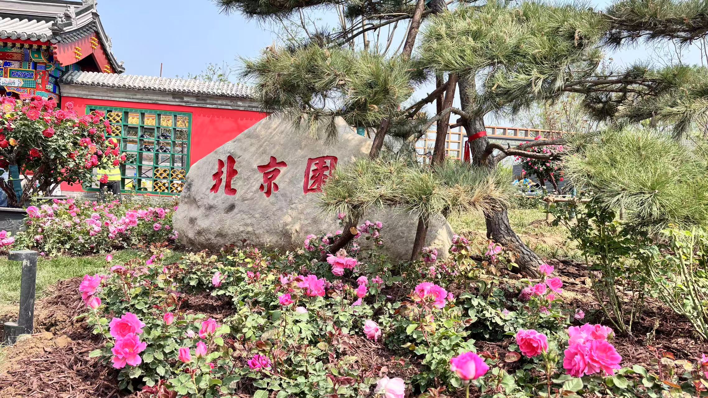 第九屆國際月季大會香溢京西