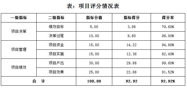 表：項目評分情況表
