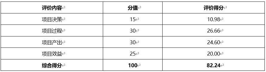 網路運維服務支出績效評價結論表