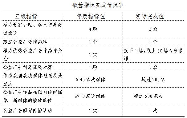 數量指標完成情況表