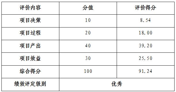 表4：項目整體績效評價結論一覽表