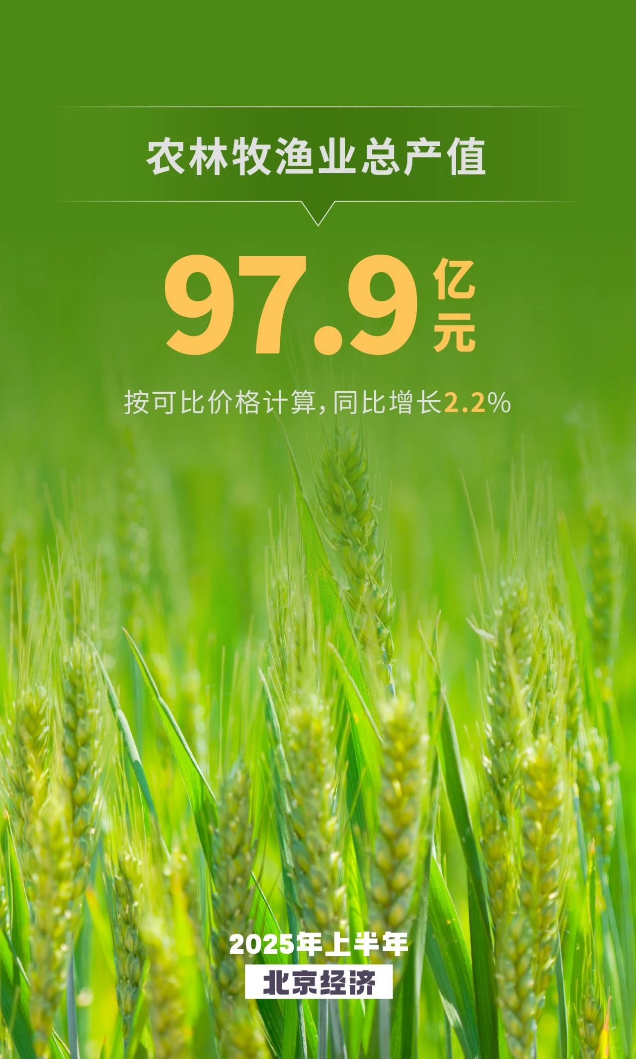 農業生産保持增長 鄉村旅游升溫向好