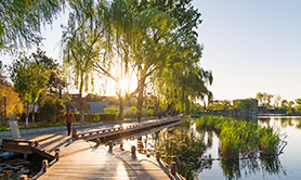 就全面提升城市生態環境品質等方面徵集建議