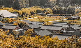 就深入推進和美鄉村建設等方面徵集建議