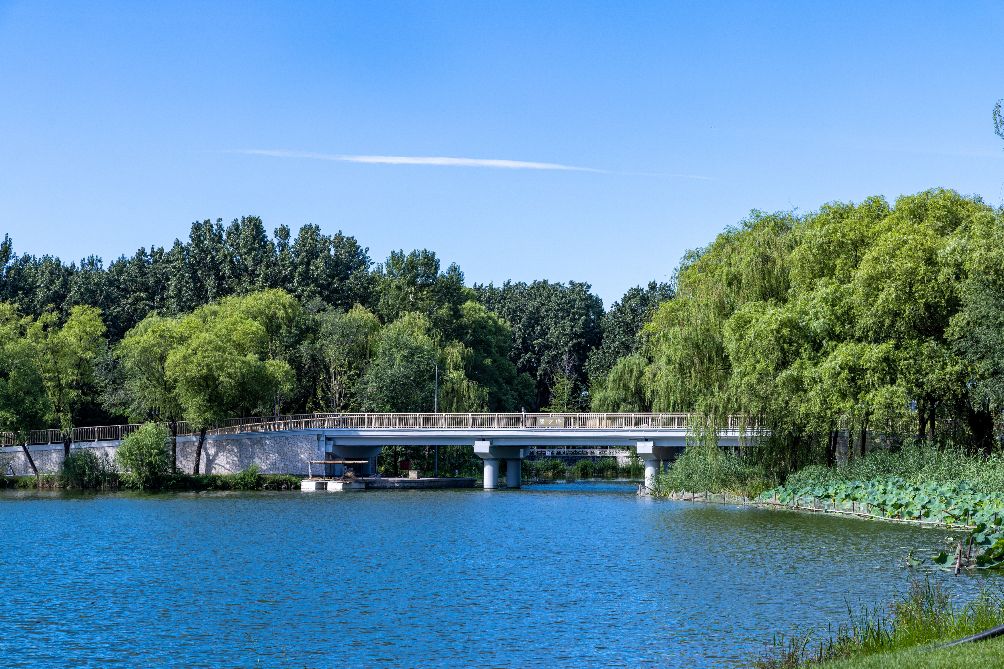 9碧沙橋