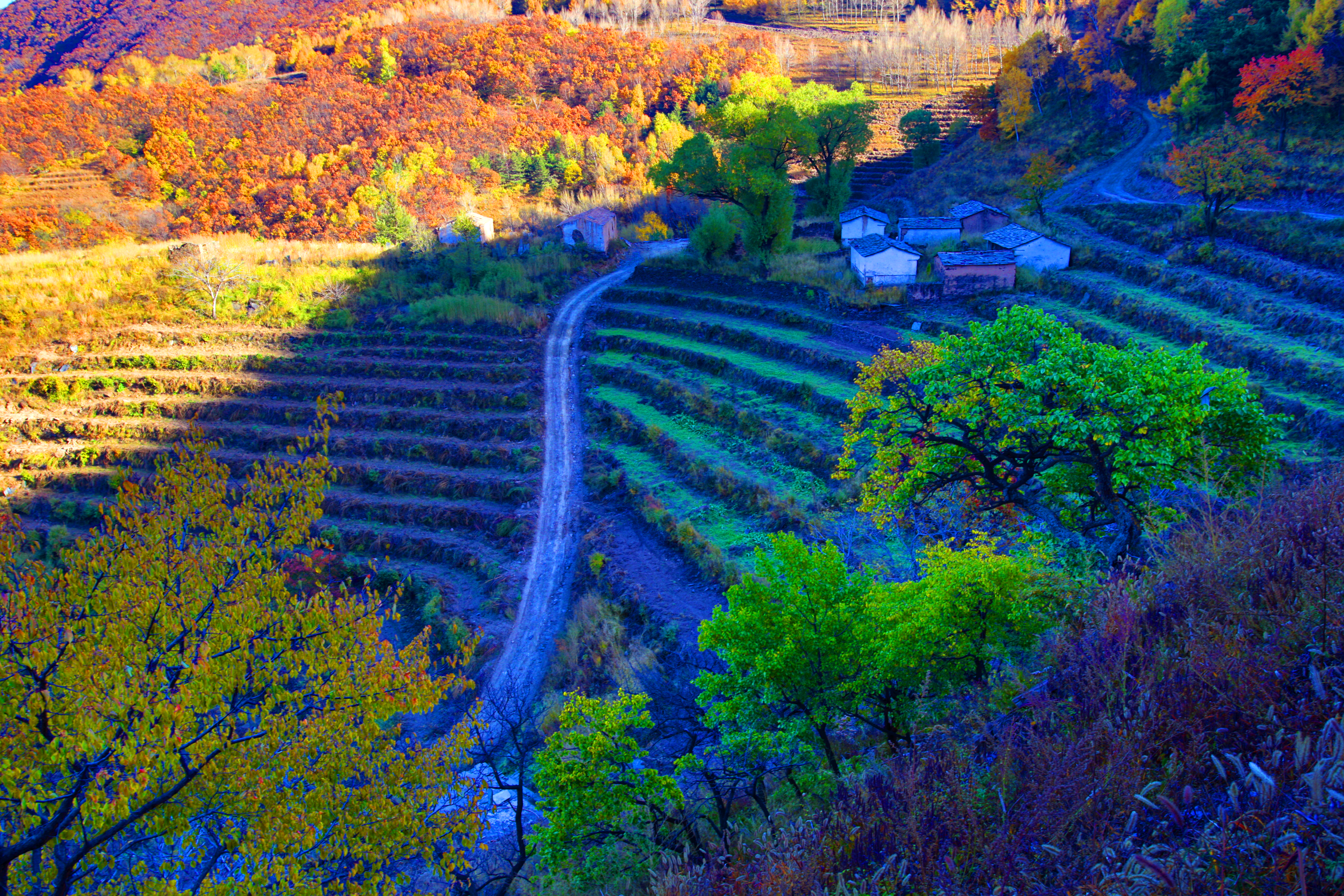 秋日房山