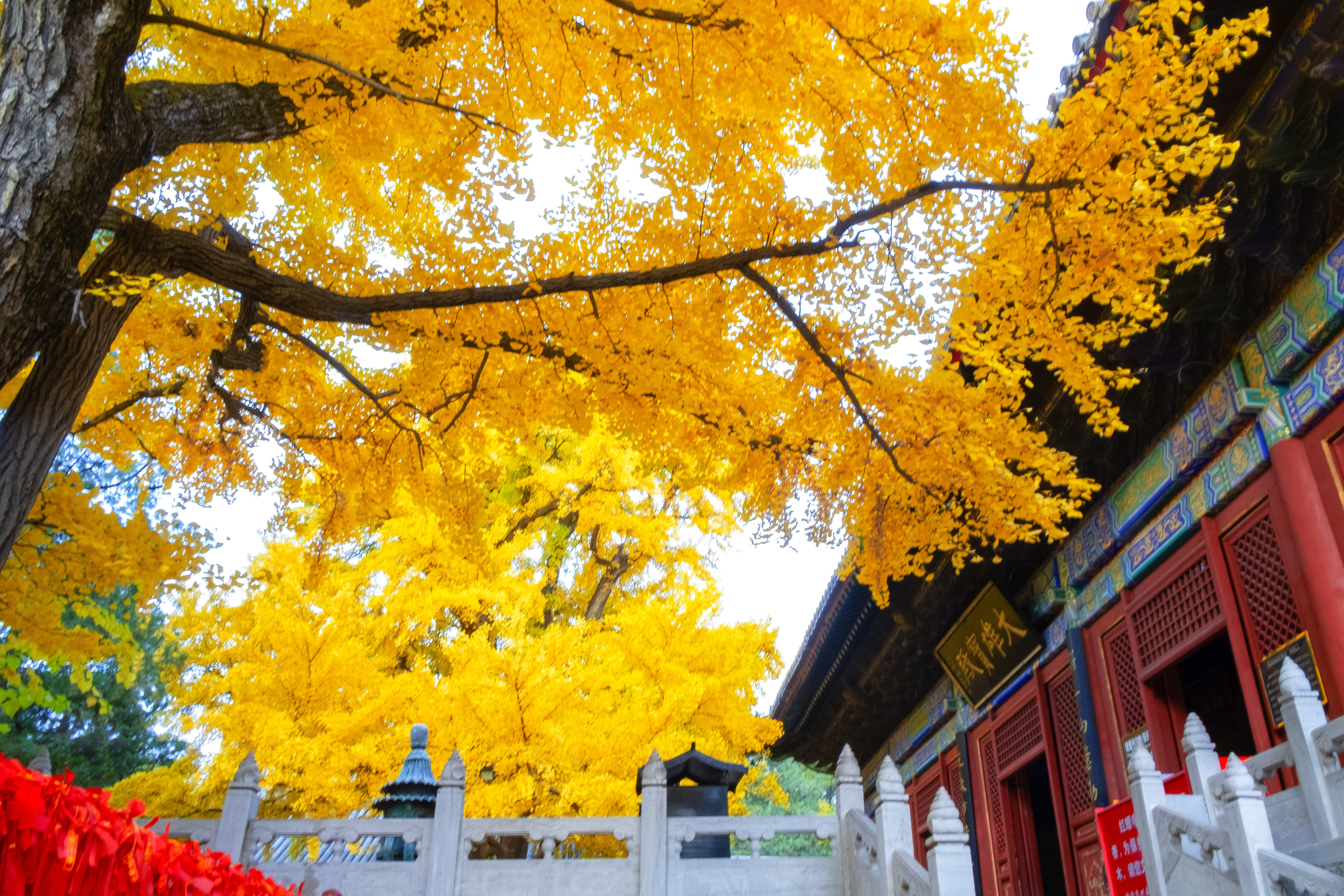 紅螺寺
