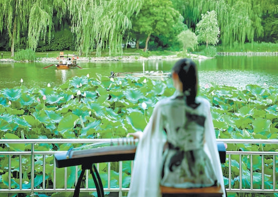 順義荷花節上，市民游客可邊聽古箏演奏，邊覽荷花之美。（武亦彬 攝）
