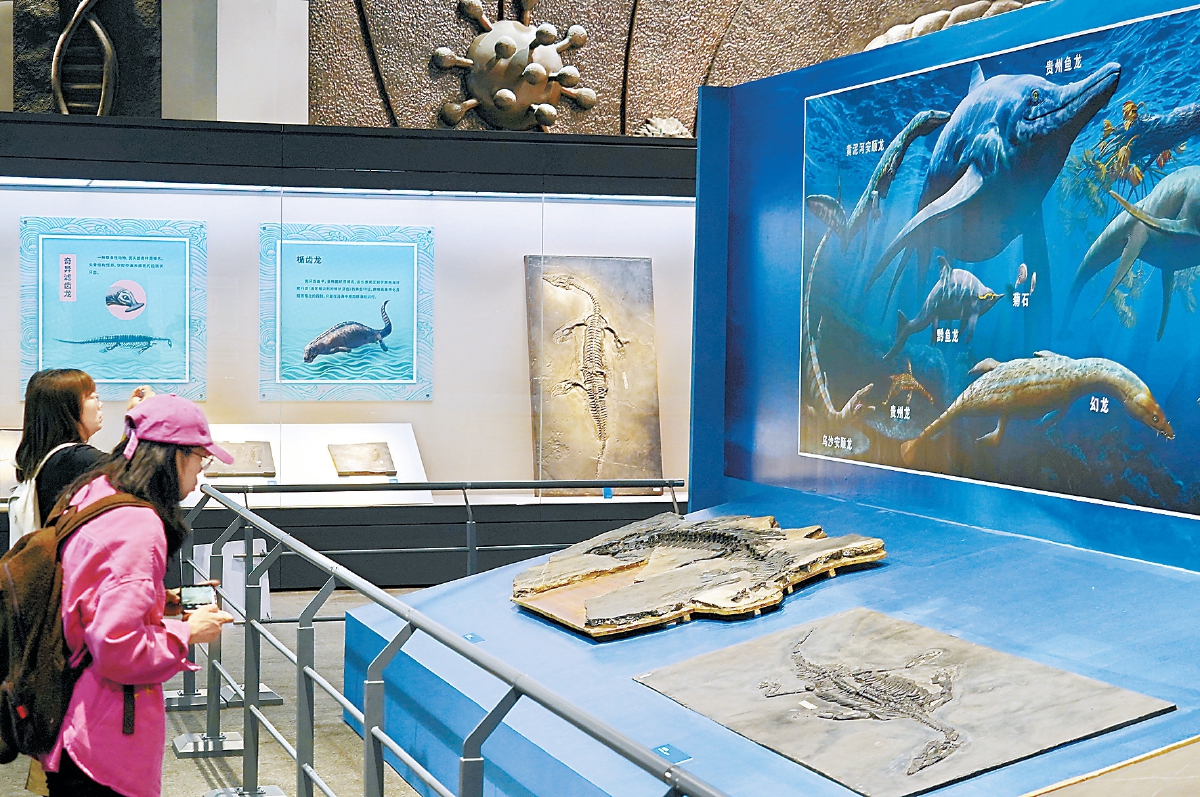 9月19日，國家自然博物館和貴州省地質博物館共同主辦的“龍躍黔海——貴州三疊紀的海洋世界”展開展。（程功 攝）