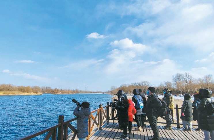 開學前夕，愛鳥會在大運河森林公園組織青少年觀鳥公益活動，讓孩子們多了解鳥類知識，引導大家一起保護棲息在我們身邊的小精靈們。（武政 攝）