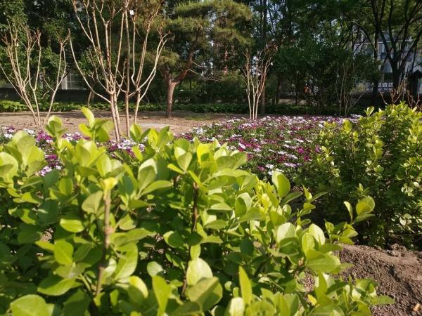 新增11個景點！這個家門口的免費公園，牡丹芍藥開得正好！