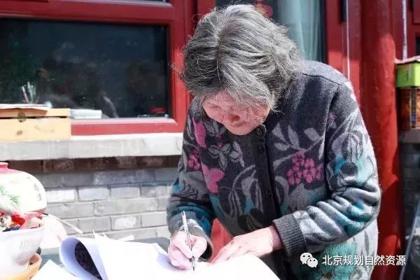 老城特色留白增綠，衚同微花園為社區增添“人情味兒”