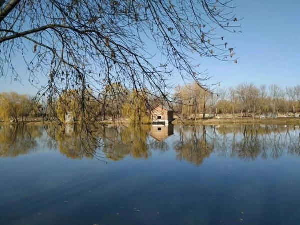這個公園號稱“小西湖”，夏日荷花綻放，園內幽靜美好