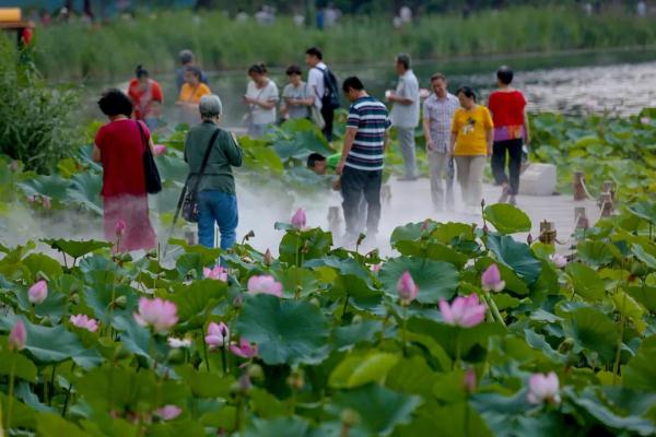 西海濕地公園 | 首都核心區的濕地公園