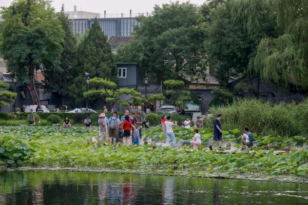 西海濕地公園 | 首都核心區的濕地公園