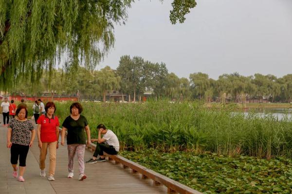 西海濕地公園 | 首都核心區的濕地公園