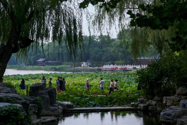 西海濕地公園 | 首都核心區的濕地公園
