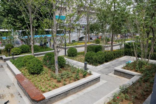 同仁醫院口袋公園 | 繁華都市裏的“街心花園”