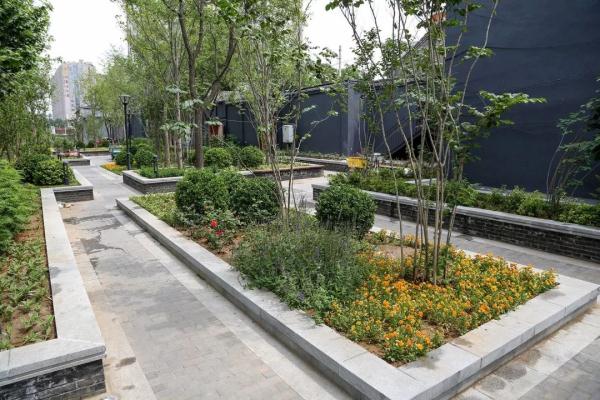 同仁醫院口袋公園 | 繁華都市裏的“街心花園”