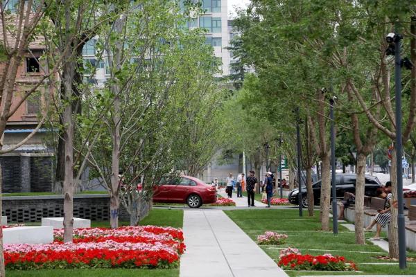 校尉衚同西側口袋公園 | 衚同漫步賞景懷古