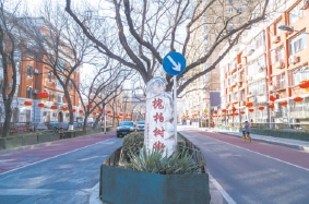 　　槐柏樹街東頭。（蔣晨明 攝）