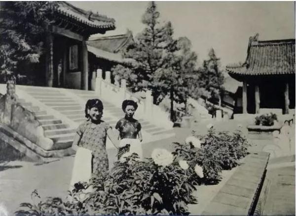 民國女子游頤和園，穿旗袍的她們，像是沾染了仙氣