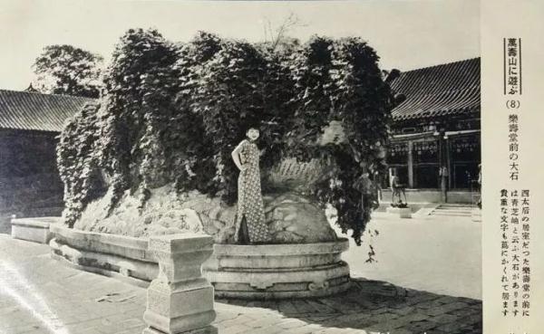 民國女子游頤和園，穿旗袍的她們，像是沾染了仙氣