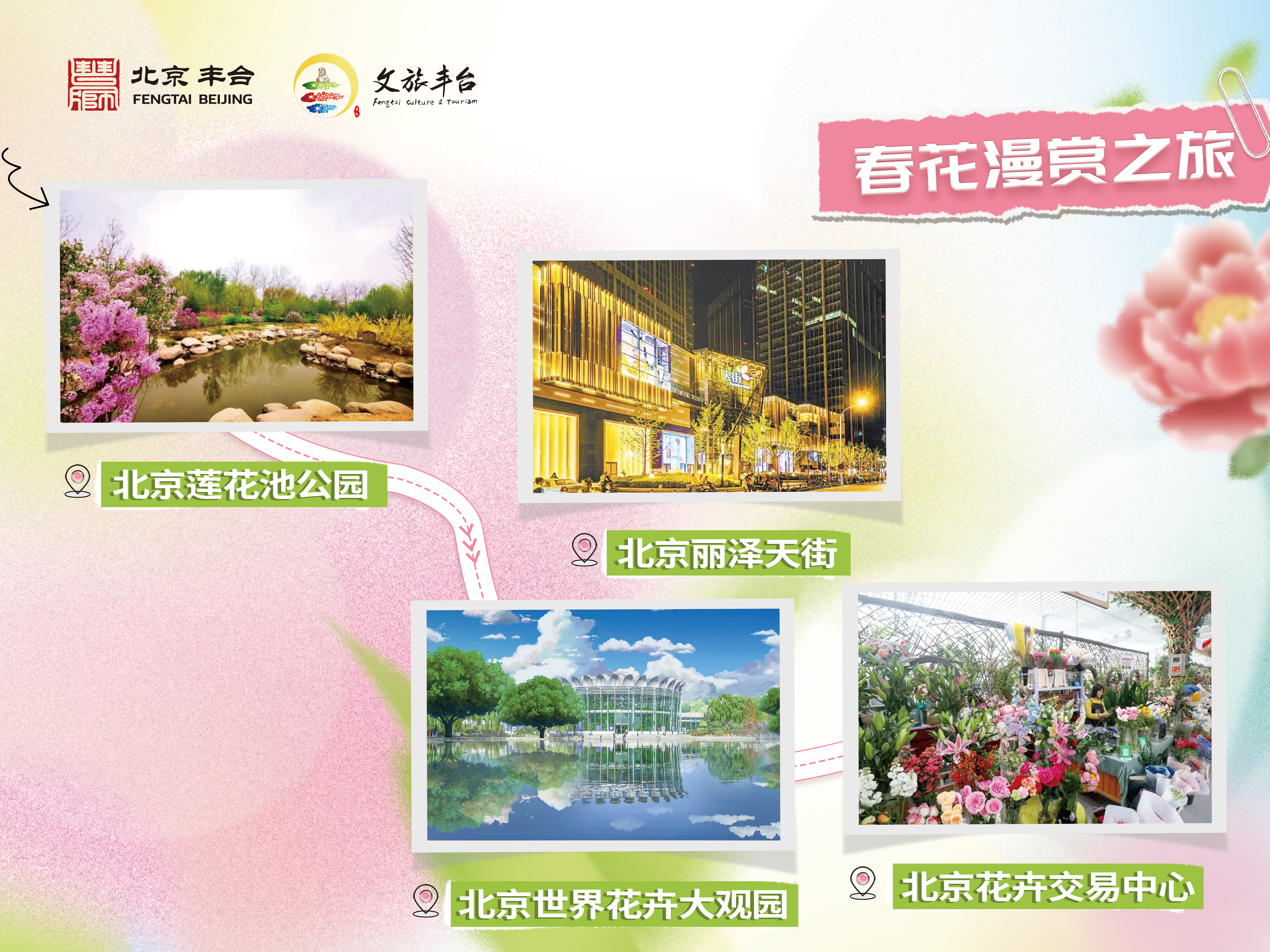 春花漫賞之旅