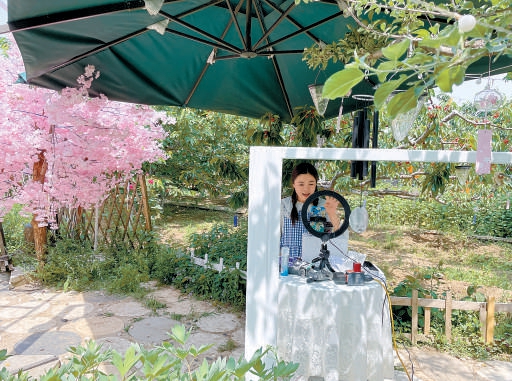 曹艷紅正在果園裏直播售賣櫻桃。（孫雲柯 攝）