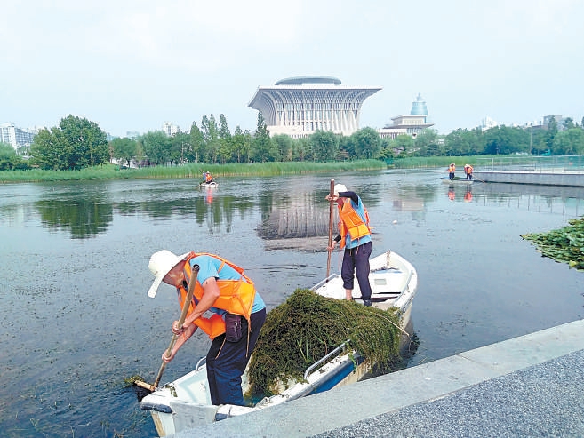 打撈水草 水面清澈了.jpg