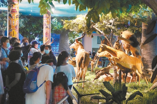 博物館夜場再“奇妙”些