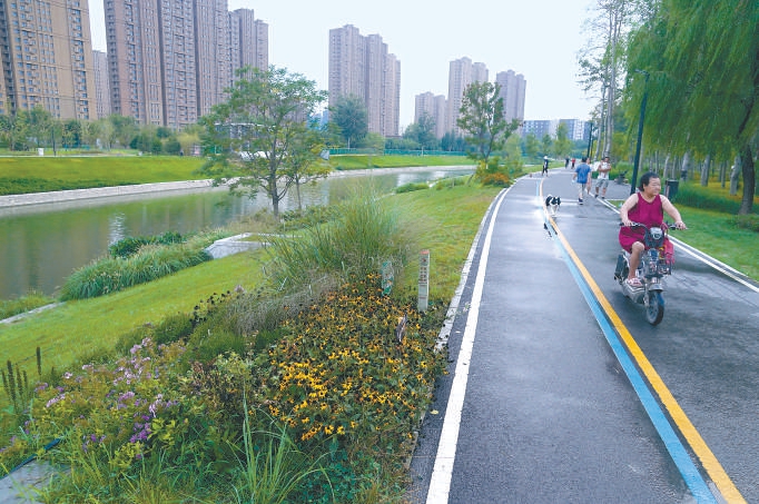 壩河示範段東口，兩岸綠草如茵，不知名的黃色小花一簇簇點綴其間。