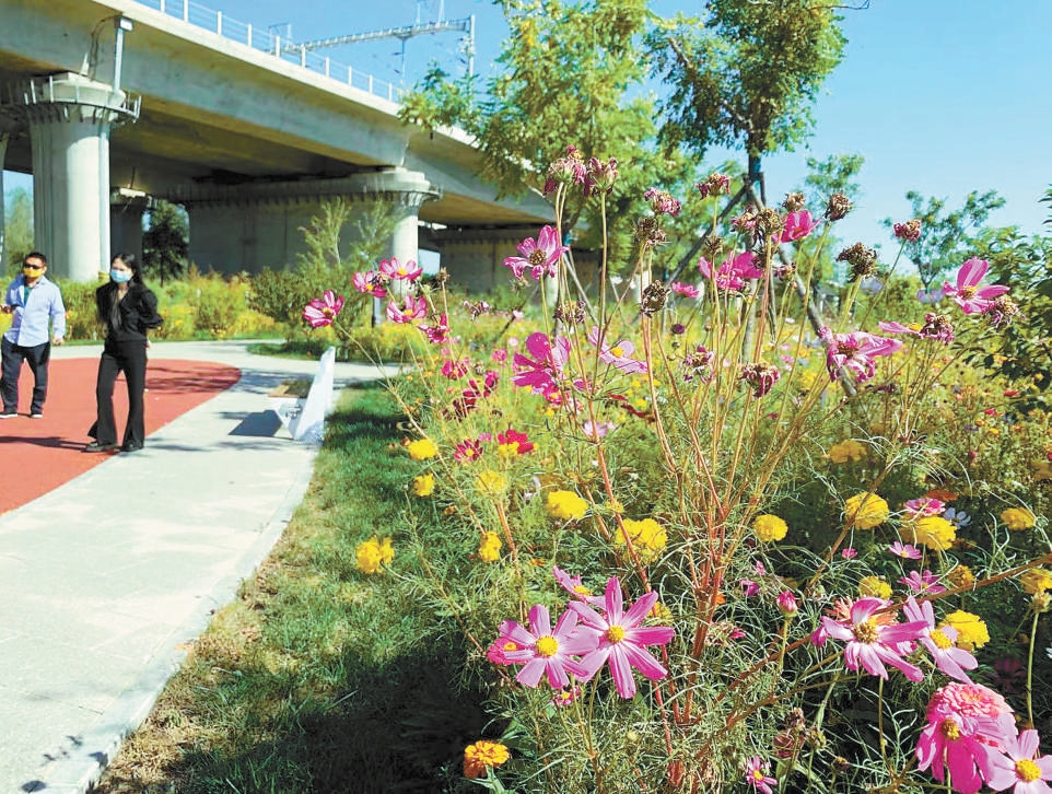 密雲站周邊可步入式綠化帶點綴著蜿蜒的小徑，五色花卉引來蜂蝶共舞，滿足了附近居民的休閒需求。
