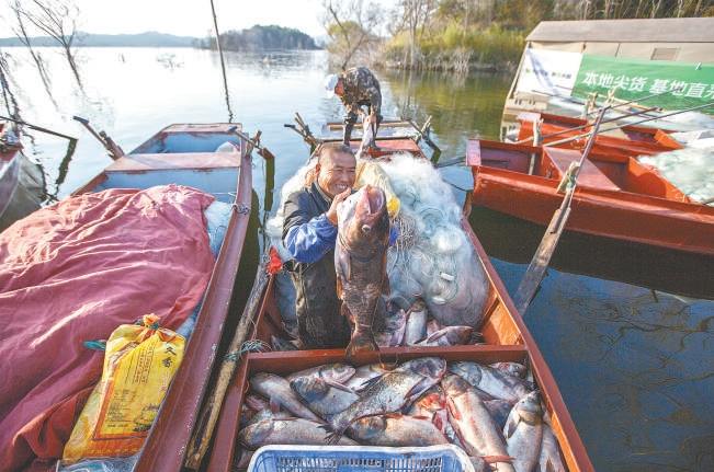 漁民捧著肥美的大魚樂得合不攏嘴。