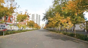 海淀街巷“微更新”迎來暖心“大變化” 海淀街巷“微更新”迎來暖心“大變化”