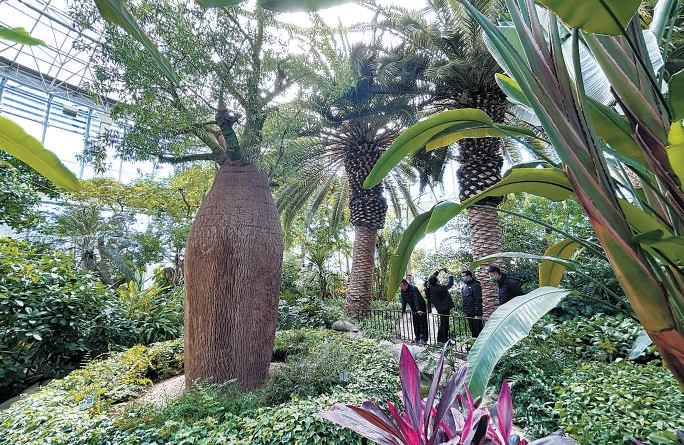 參加“世界野生動植物日”宣傳活動的嘉賓在北京世界花卉大觀園熱帶植物館內參觀珍稀植物。