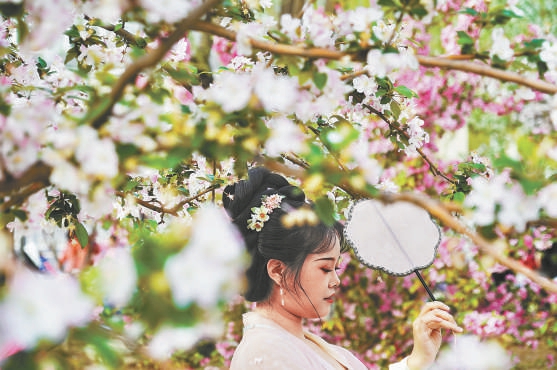 28種海棠綻放元大都公園