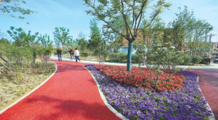 觀音堂城市森林公園完工 觀音堂城市森林公園完工