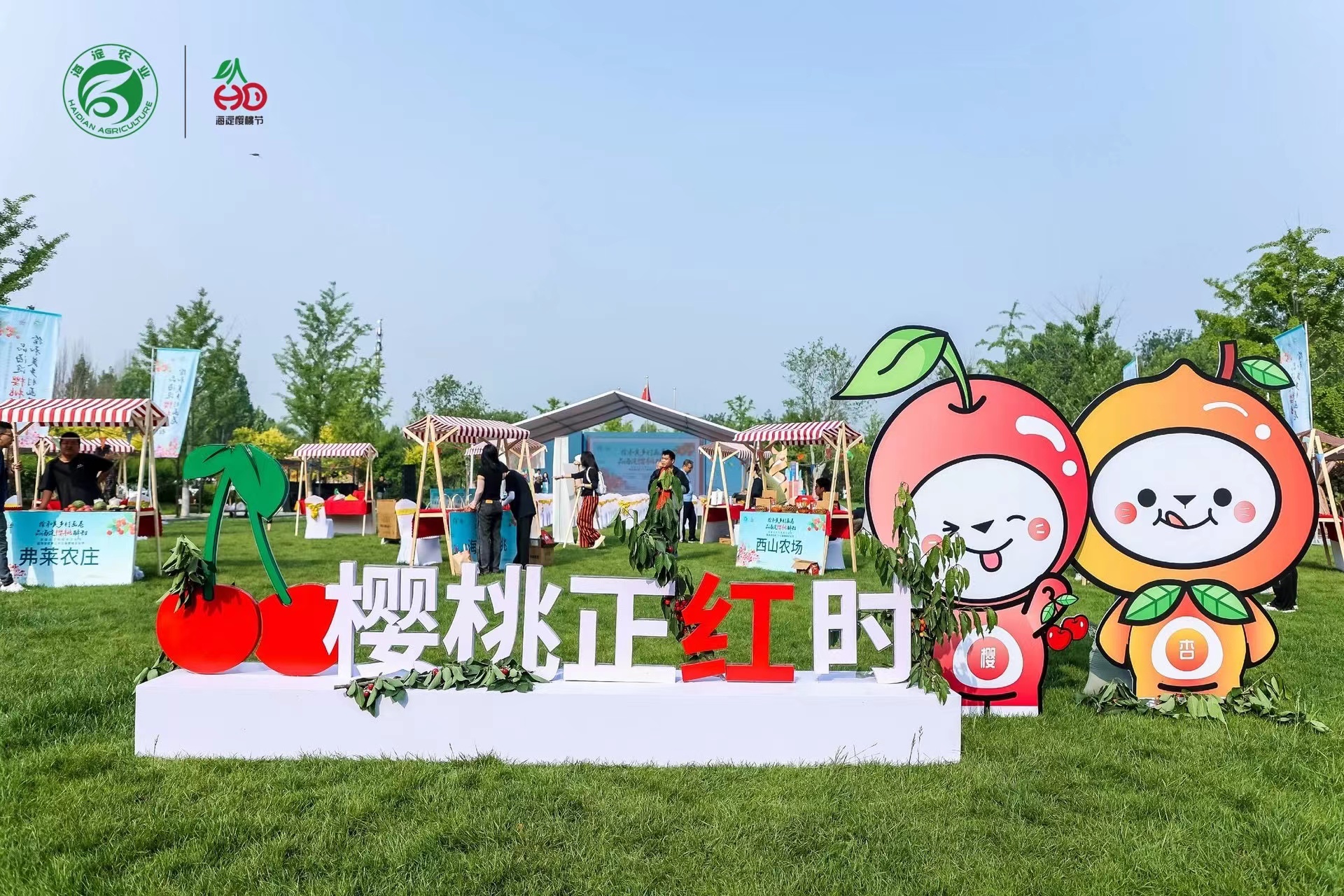首屆北京市櫻桃文化節繪和美鄉村畫卷