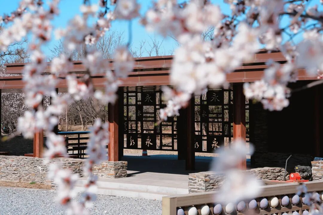 4月1日，永定河中堤恢復開放！