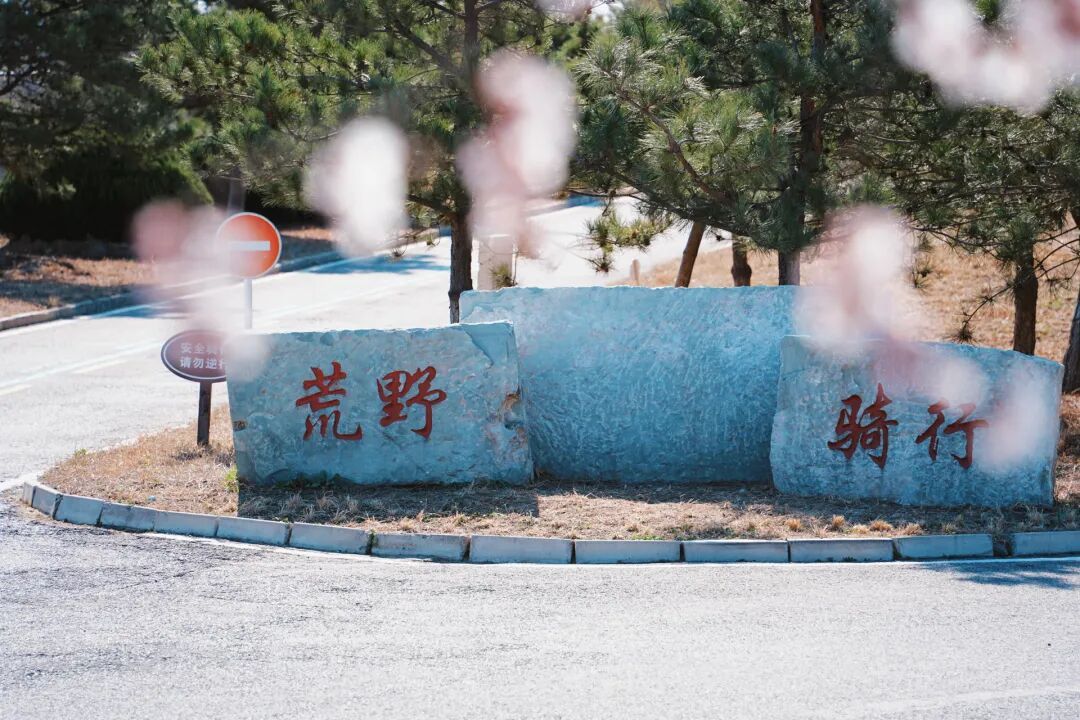 4月1日，永定河中堤恢復開放！