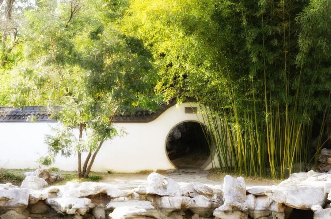 北京推出15條“最美園路”！點擊收藏——