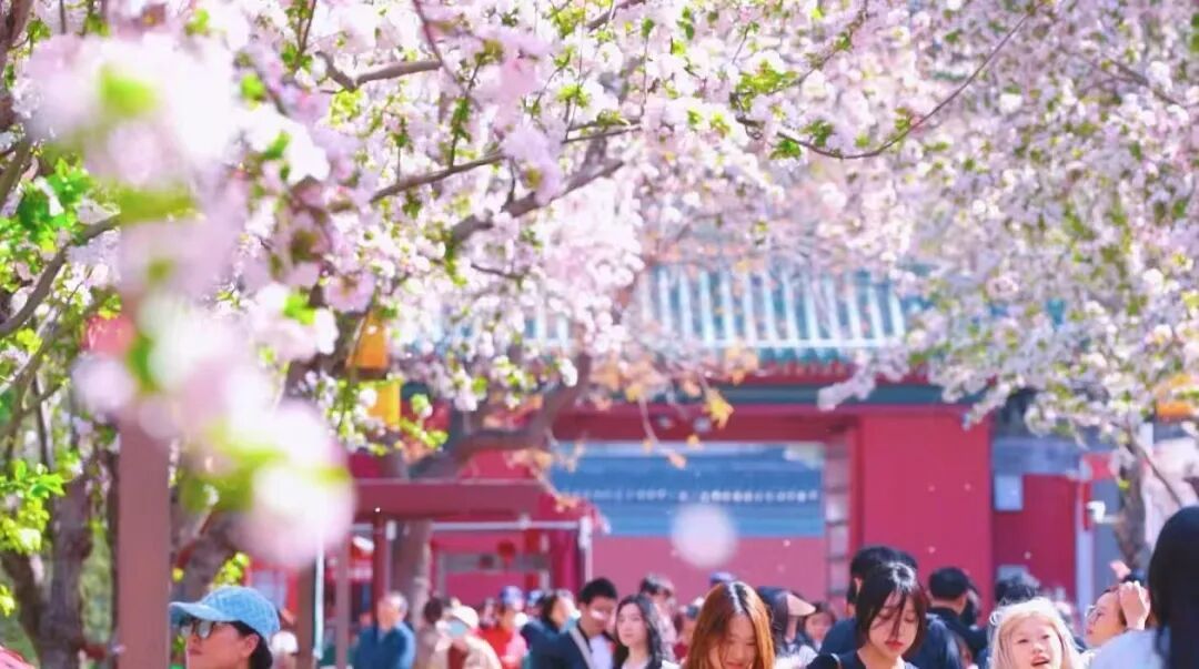 北京推出15條“最美園路”！點擊收藏——