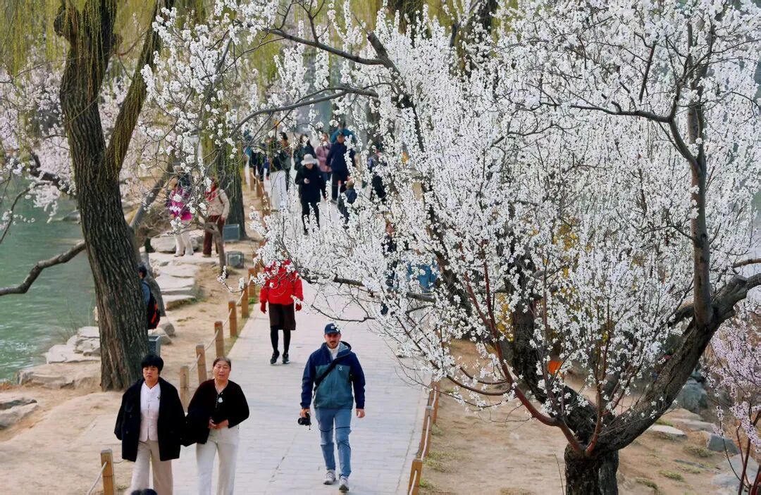 北京推出15條“最美園路”！點擊收藏——