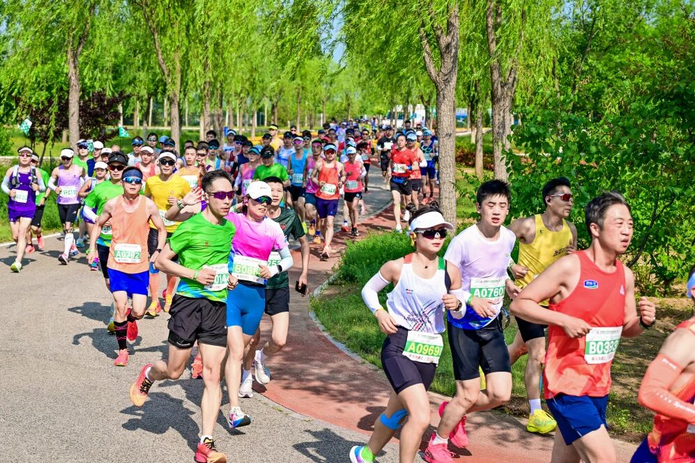 煥新登場！2026密馬賽道全新升級，跑遍密雲生態畫卷